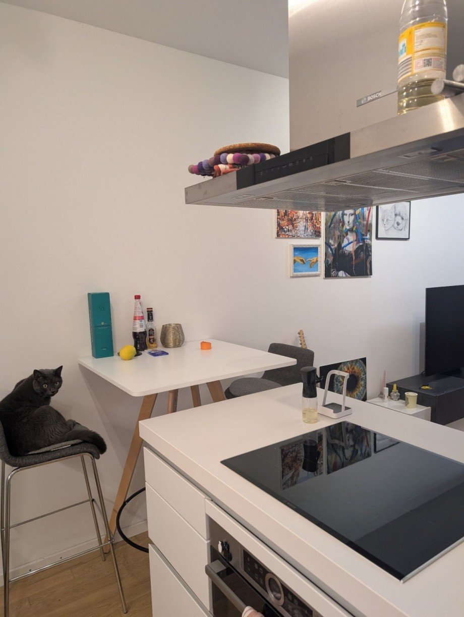 K�chenbereich Wohnung M�nchen