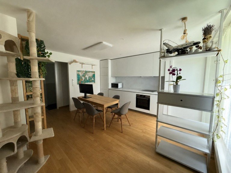 offener K�chen-/Wohnbereich M�nchen Erdgeschosswohnung Moderne 2-Zimmer-Wohnung in M�nchen mit Terrasse und Garage