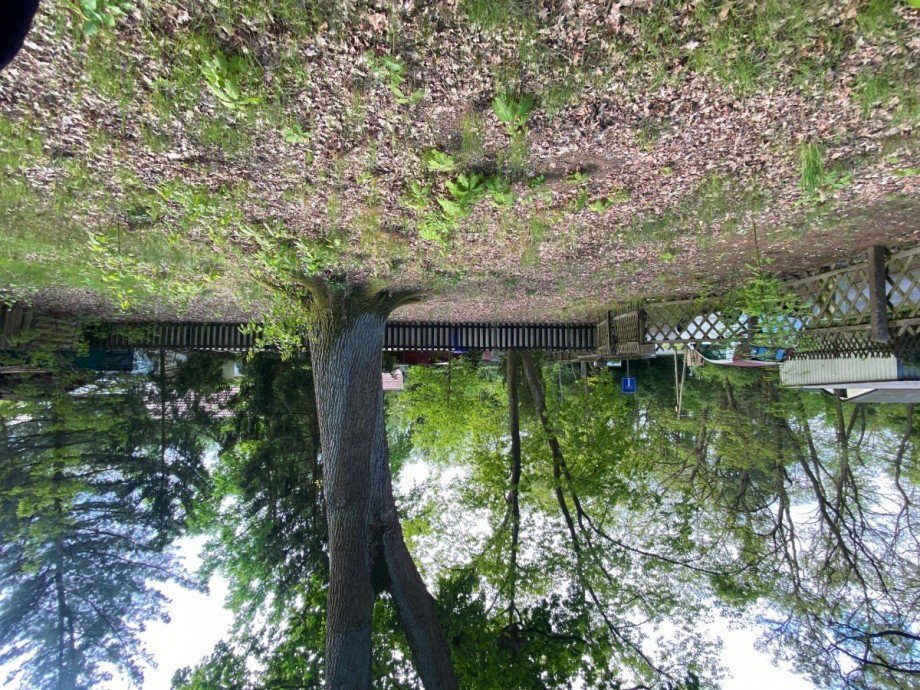 Alter Baumbestand stra�enseitig Gemischt-Grundst�ck Heidesee