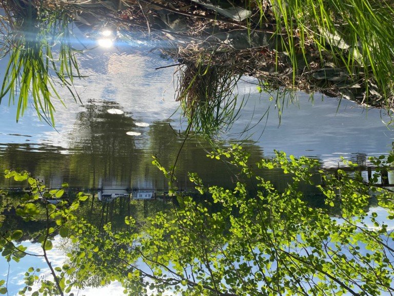 Wasserblick 1 Heidesee Gemischt-Grundst�ck Idyllisches Wassergrundst�ck an der Dahme zur Wohnbebauung