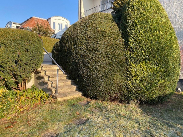 Treppe in den Garten.jpg Berlin Wohnung ** Sch�ne 4-Zimmerwohnung mit gro�em Garten in Lichtenrade **