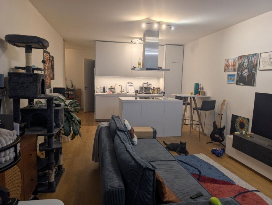 offener Wohnbereich Wohnung M�nchen