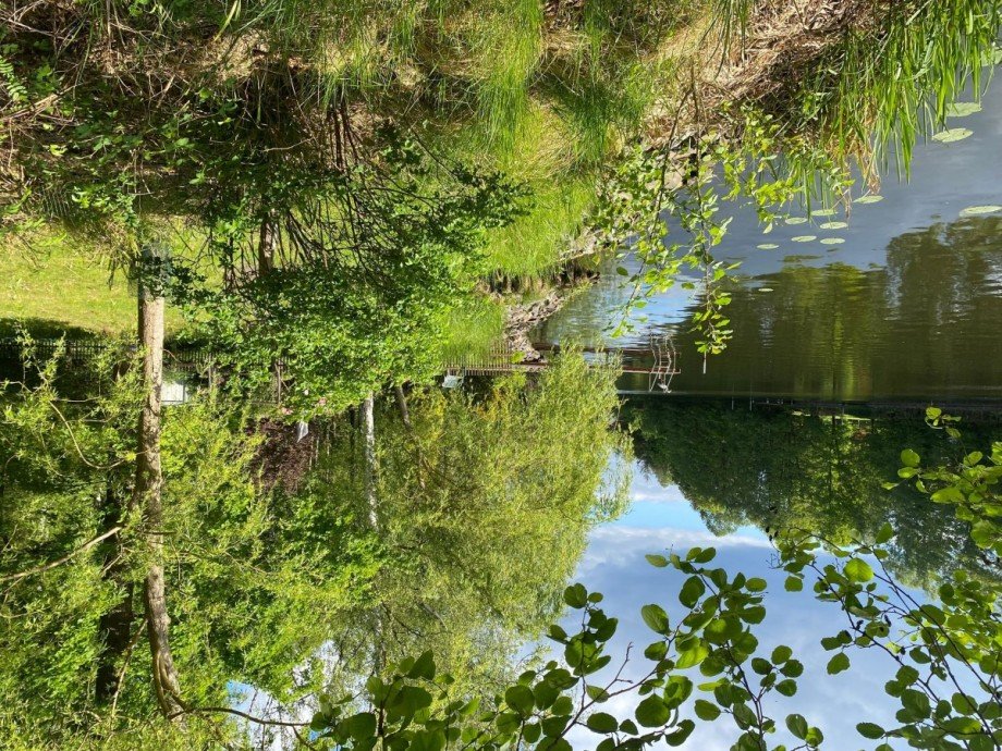 Wasserblick 2 Gemischt-Grundst�ck Heidesee