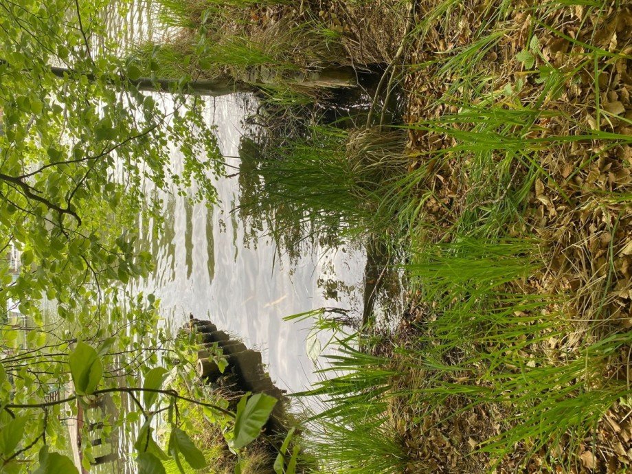 Anlegestelle Gemischt-Grundst�ck Heidesee